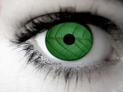 kratom-eye.webp